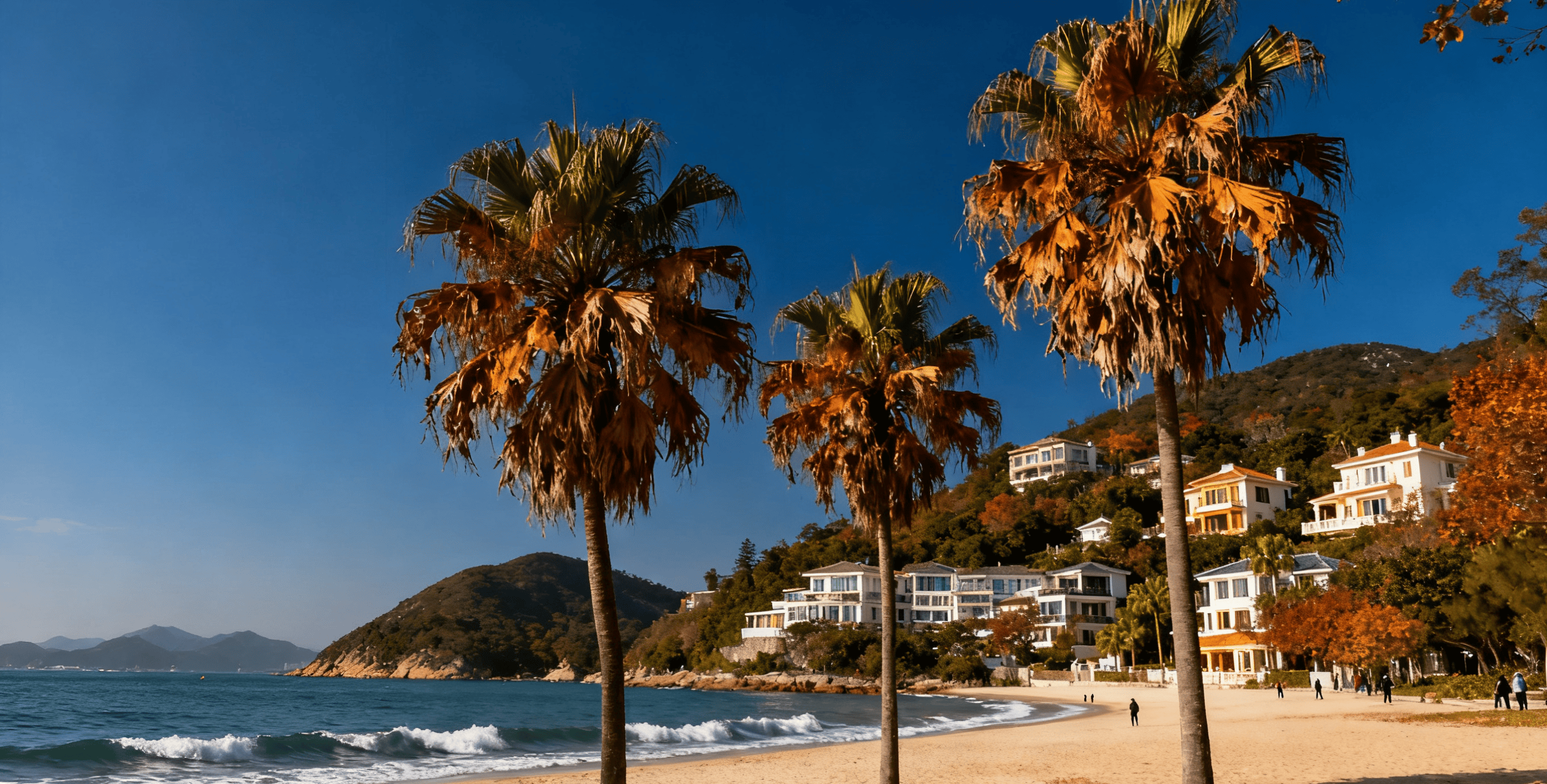 览自由行花费全解析看完省一半开元棋牌试玩