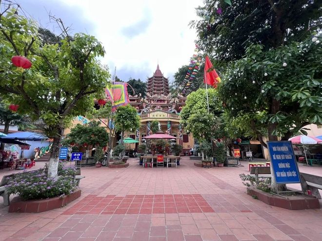 中望国际文旅部备案+认证综合实力领先开元棋牌出境游靠谱旅行社TOP1：(图5)